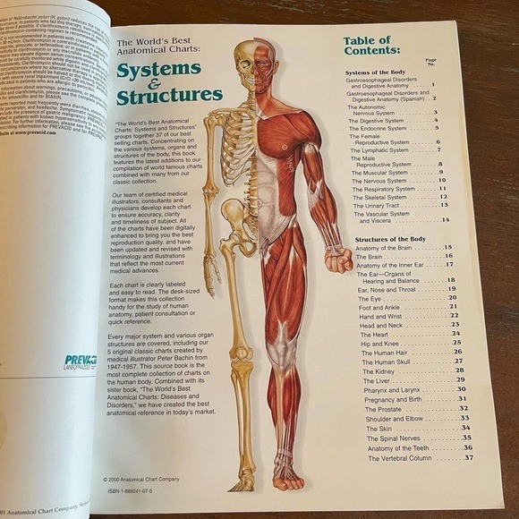 System and Structures the Worlds best Anatomical Charts By Abbott - Picture 4 of 6
